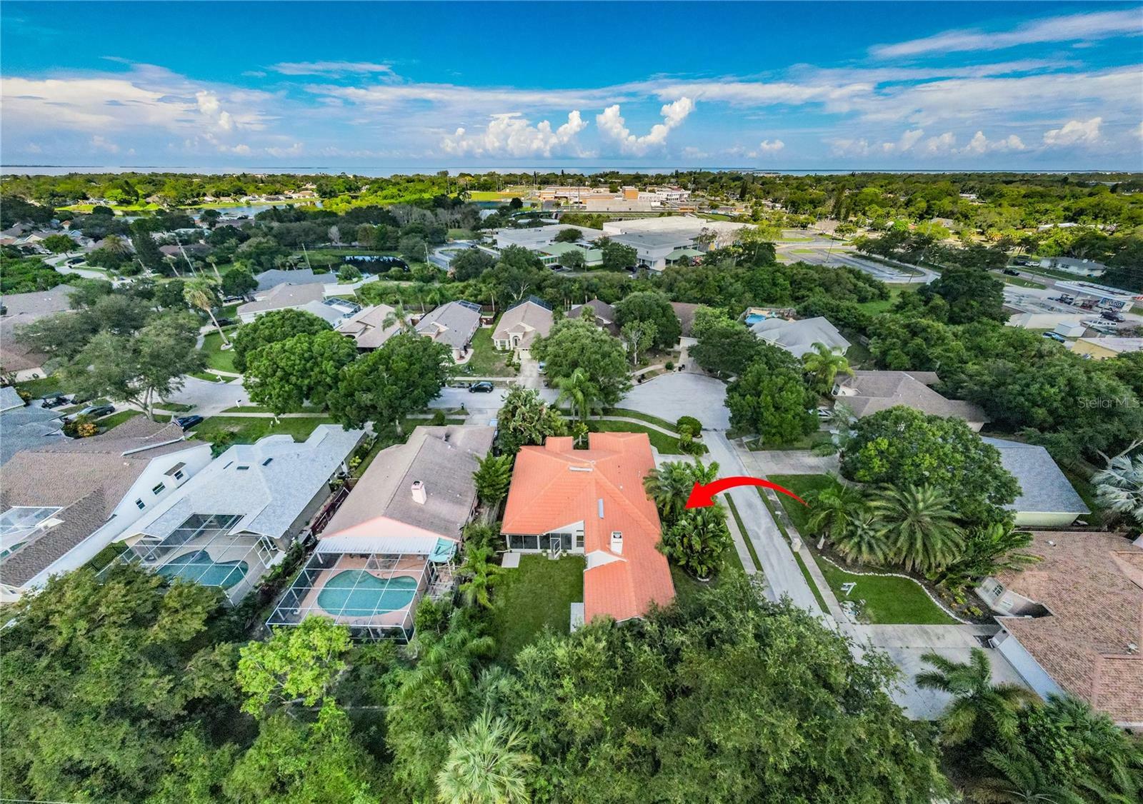 Property Photo:  441 Village Drive  FL 34689 