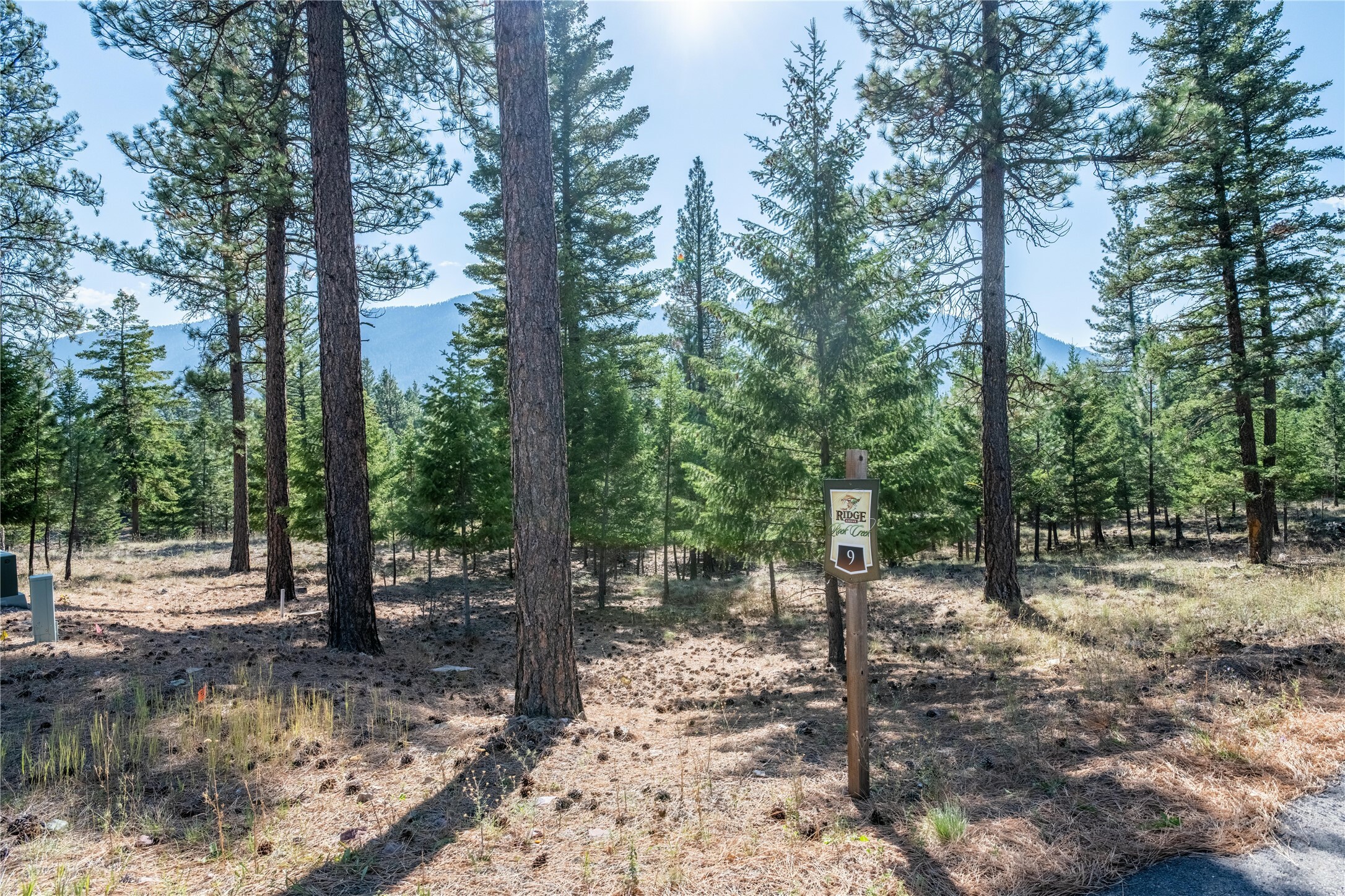 Property Photo:  Lot 9 Stonefly Road  MT 59825 