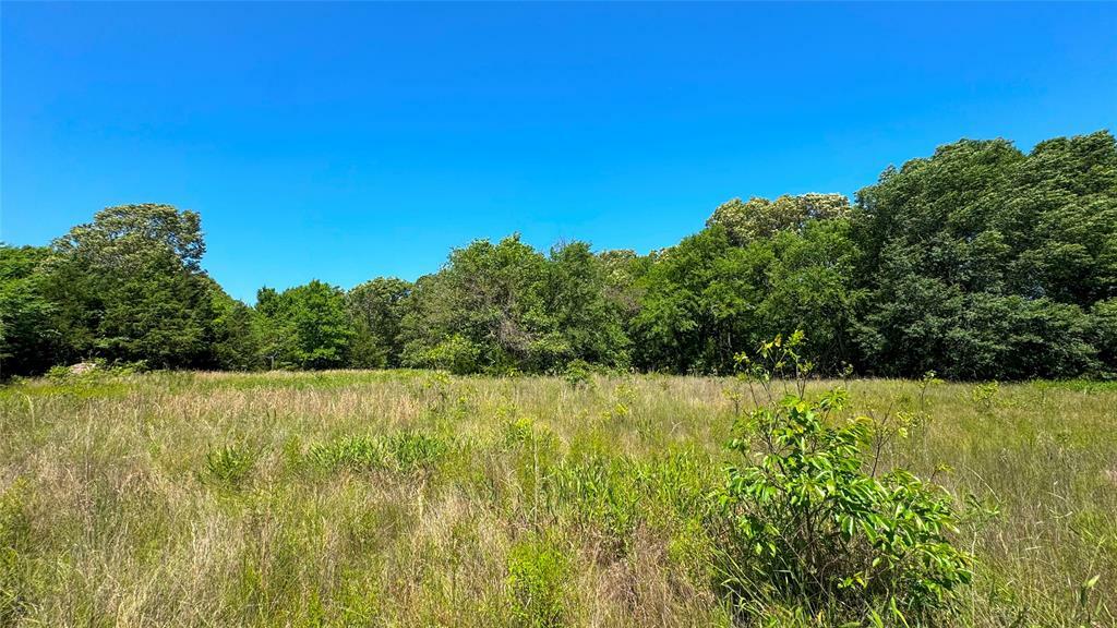 Property Photo:  10 Ac County Road 34710  TX 75460 