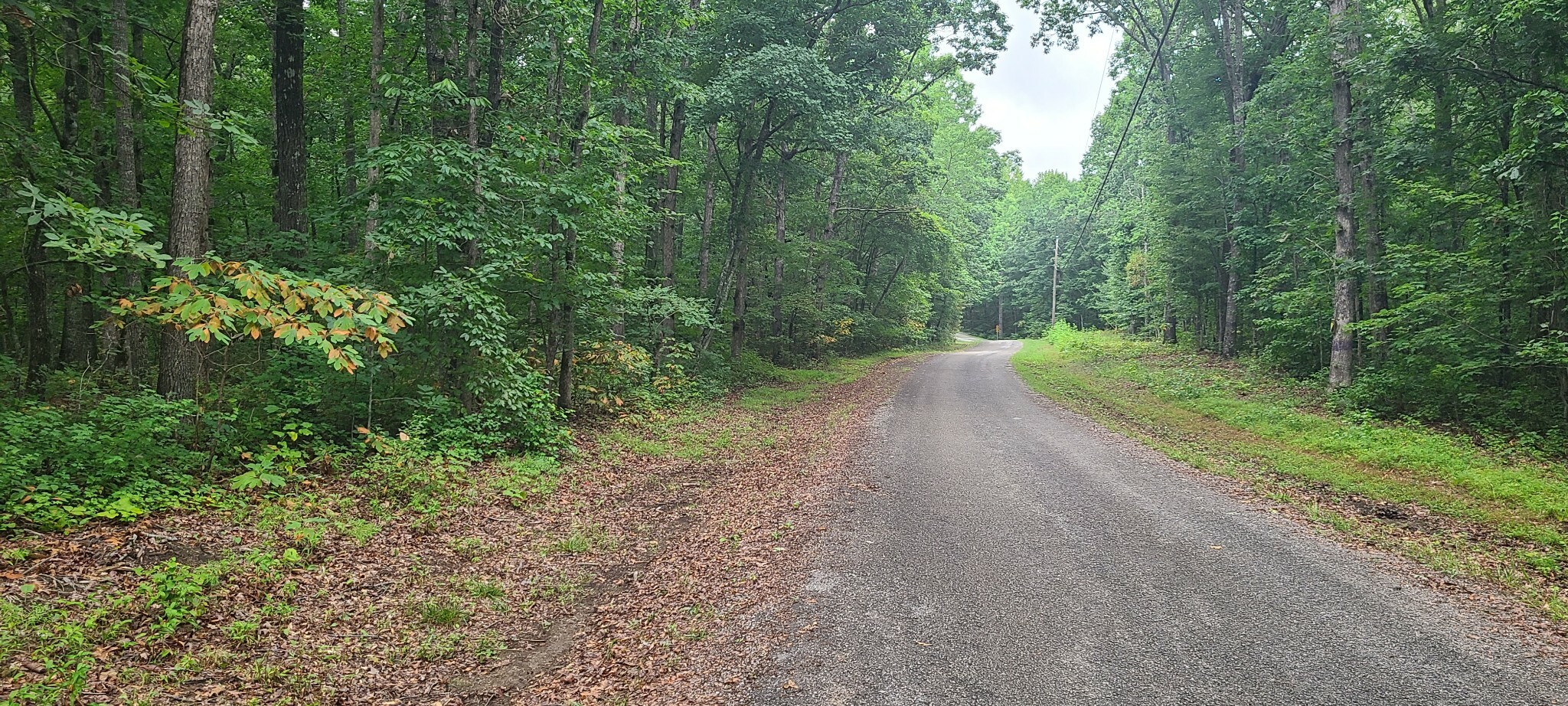 Property Photo:  0 Deer Run Road  TN 37301 