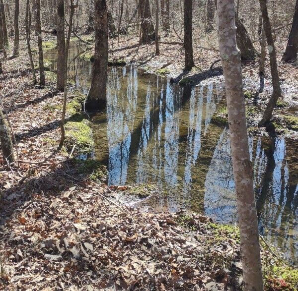 Property Photo:  0 Deer Run Road  TN 37301 