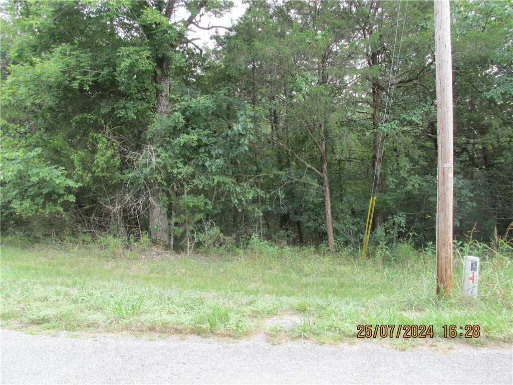 Property Photo:  39 W Thomas Circle  AR 72631 