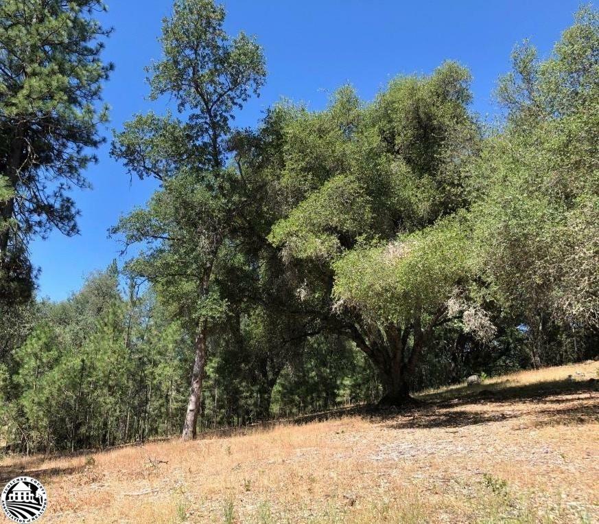 Property Photo:  21930 Lyons Bald Mountain Road  CA 95370 