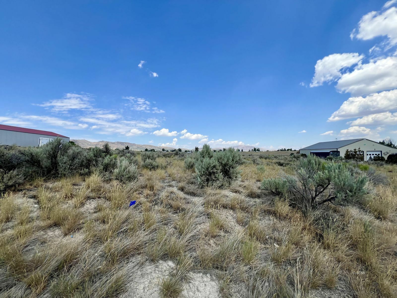 Property Photo:  509 Belloak Drive  NV 89815 