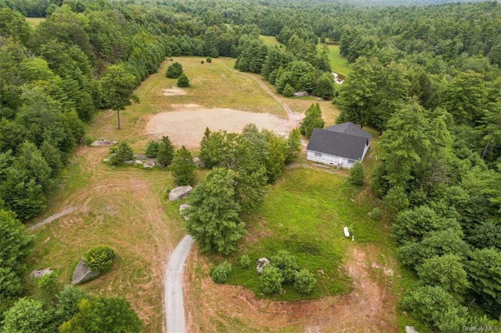 Property Photo:  80 Tannery Road  NY 12777 