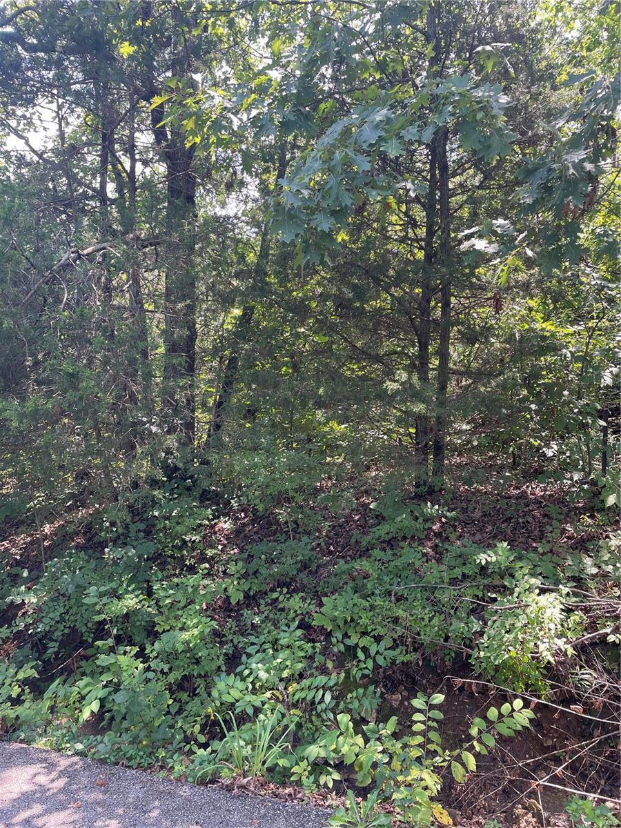 Property Photo:  0 Marathon Drive  MO 63020 