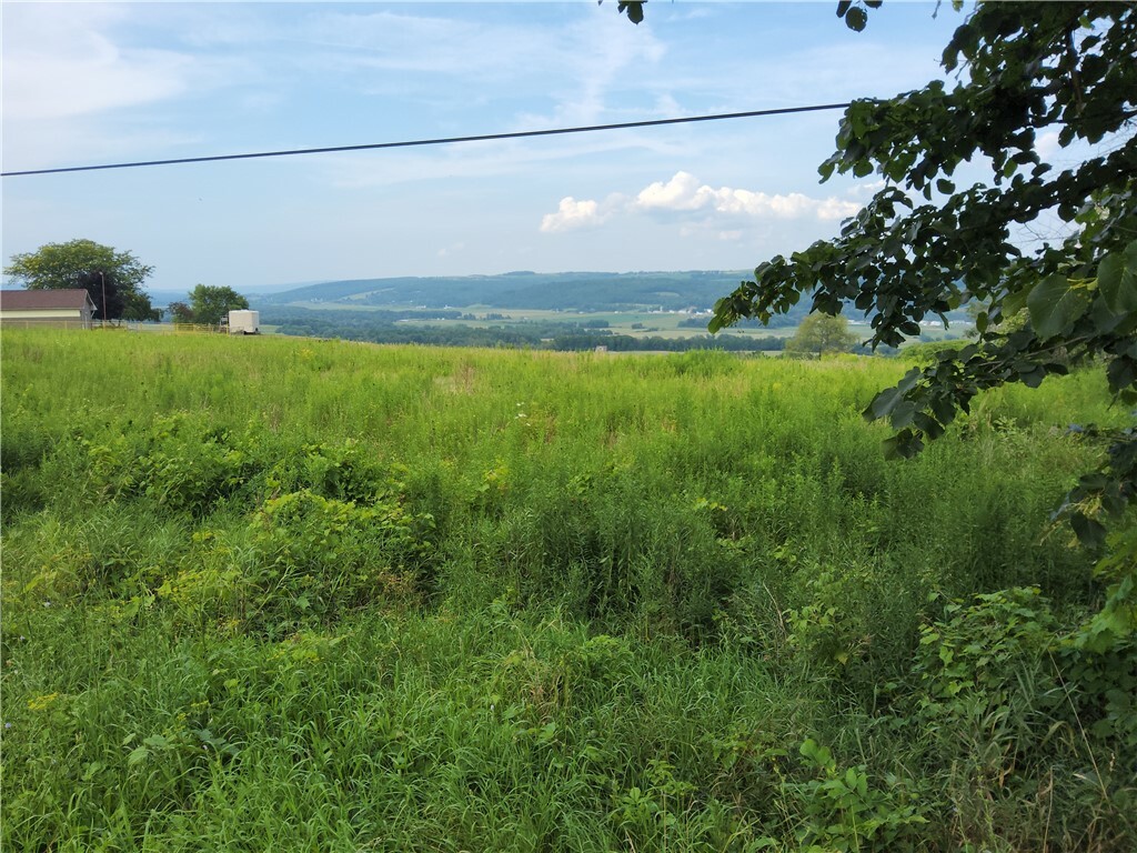 Property Photo:  0 Lattimer Hill Road  NY 14807 