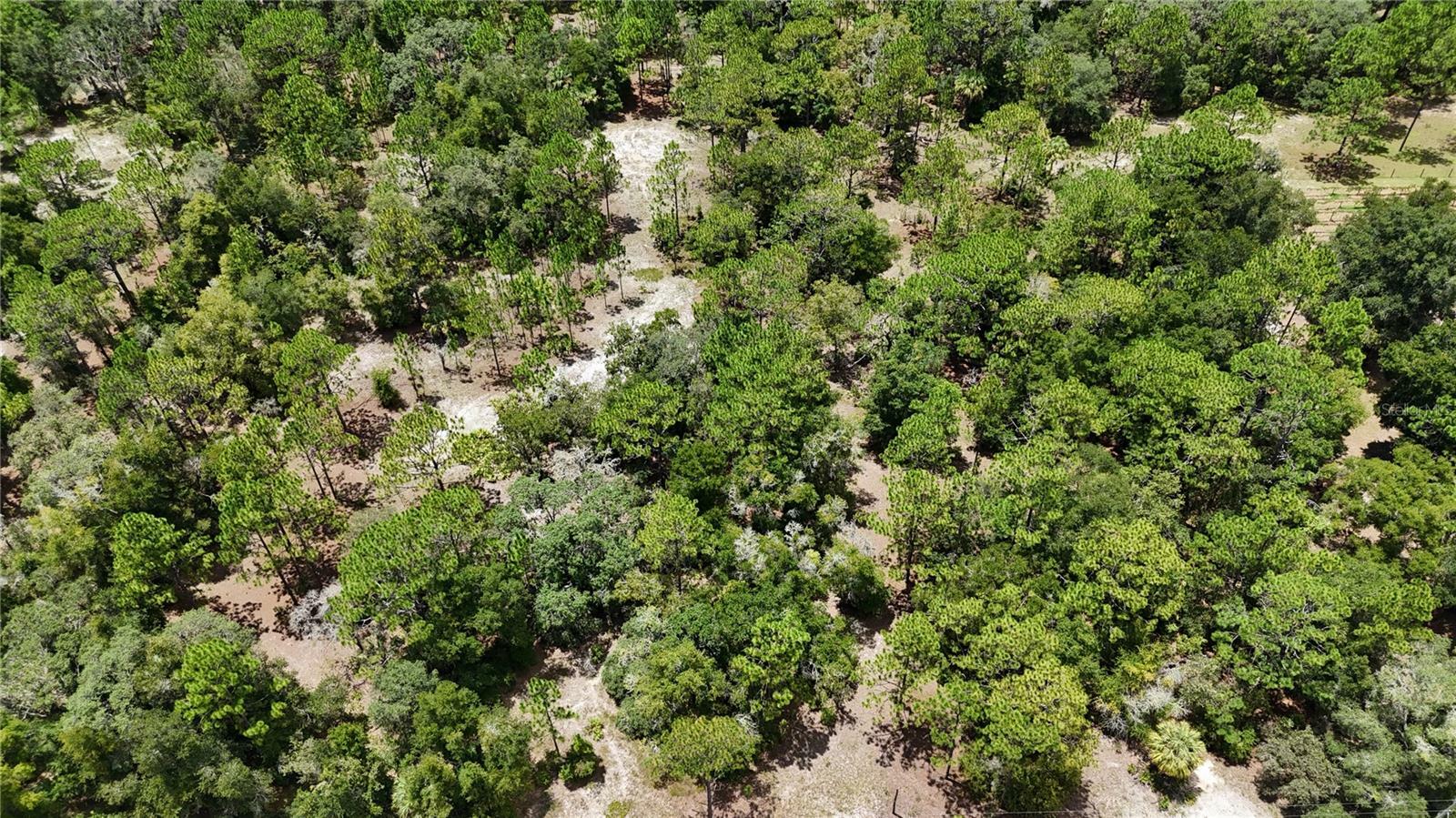 Property Photo: 7416 N Nathan Point FL 34428