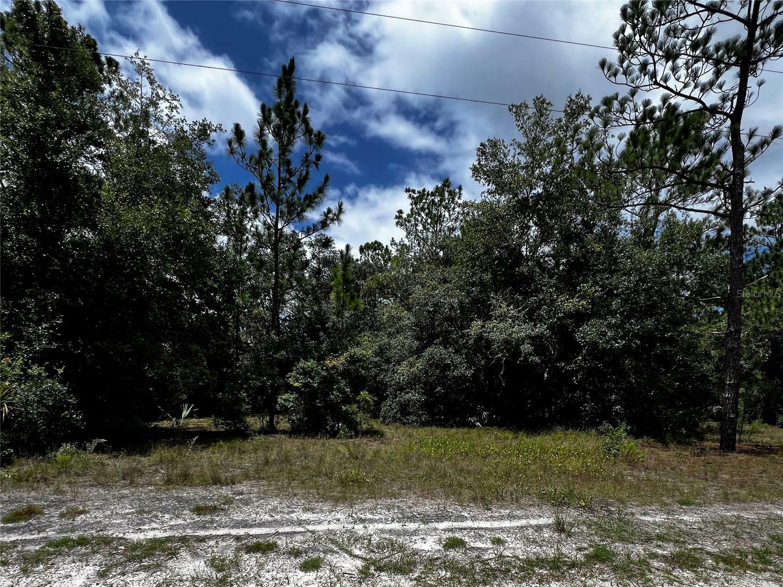 7416 N Nathan Point  Crystal River FL 34428 photo