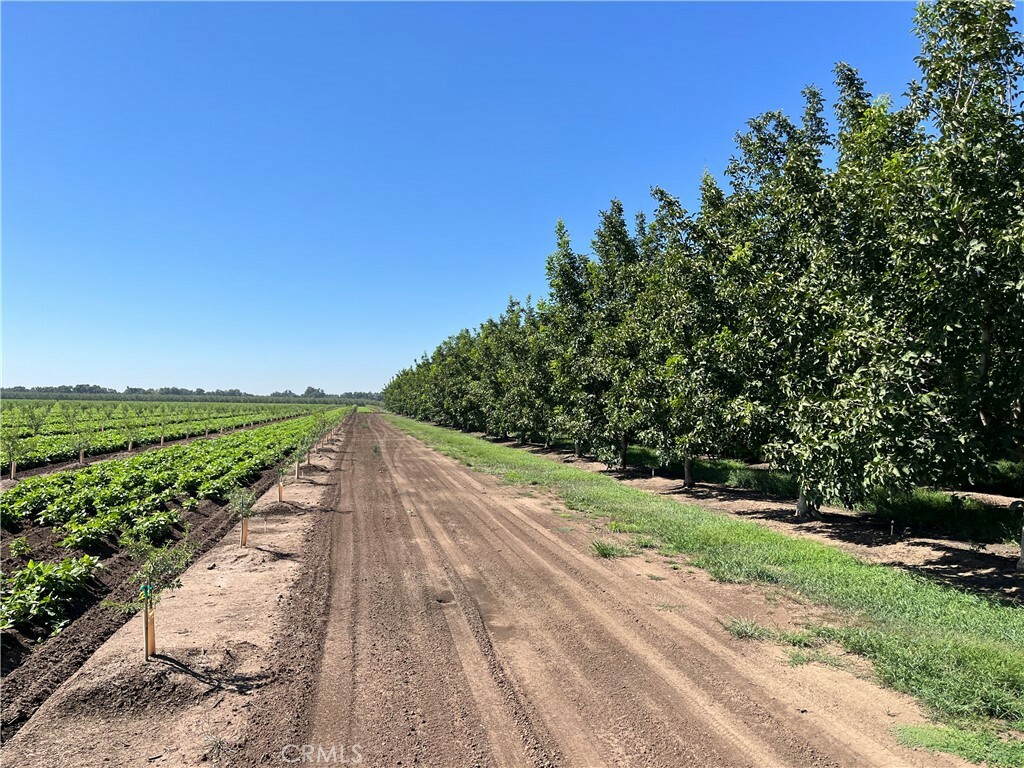 Property Photo:  5429 Anita Road  CA 95973 