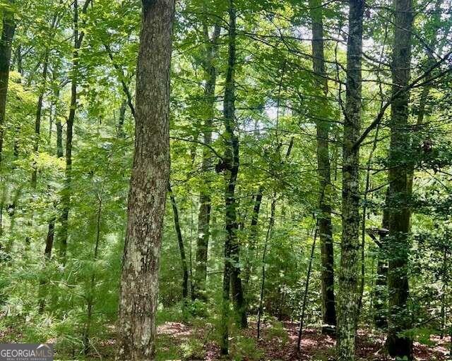 Property Photo:  0 Hillbilly Holler  GA 30513 