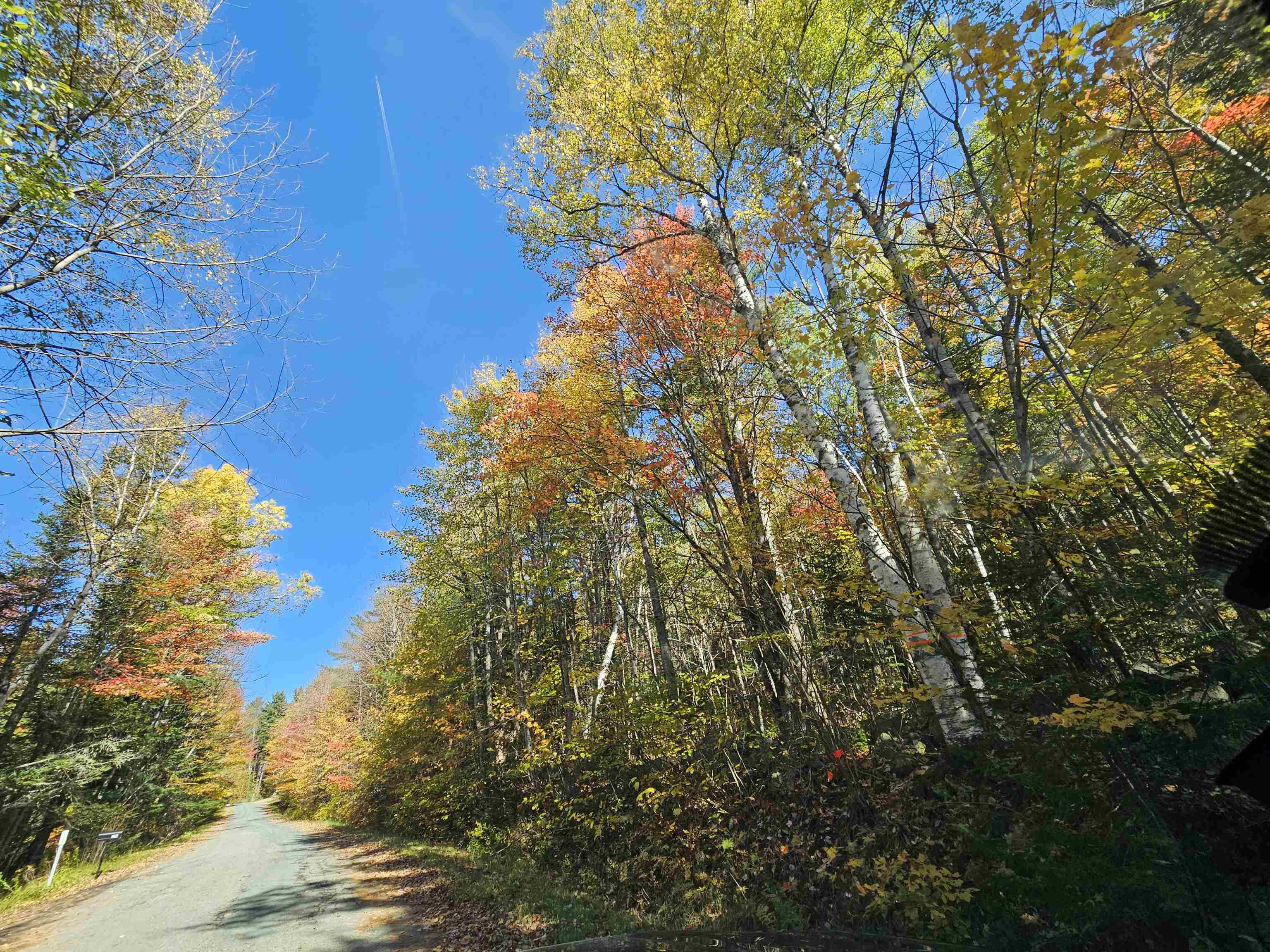 Property Photo:  Lot 6 Mount Cleveland Road  NH 03574 