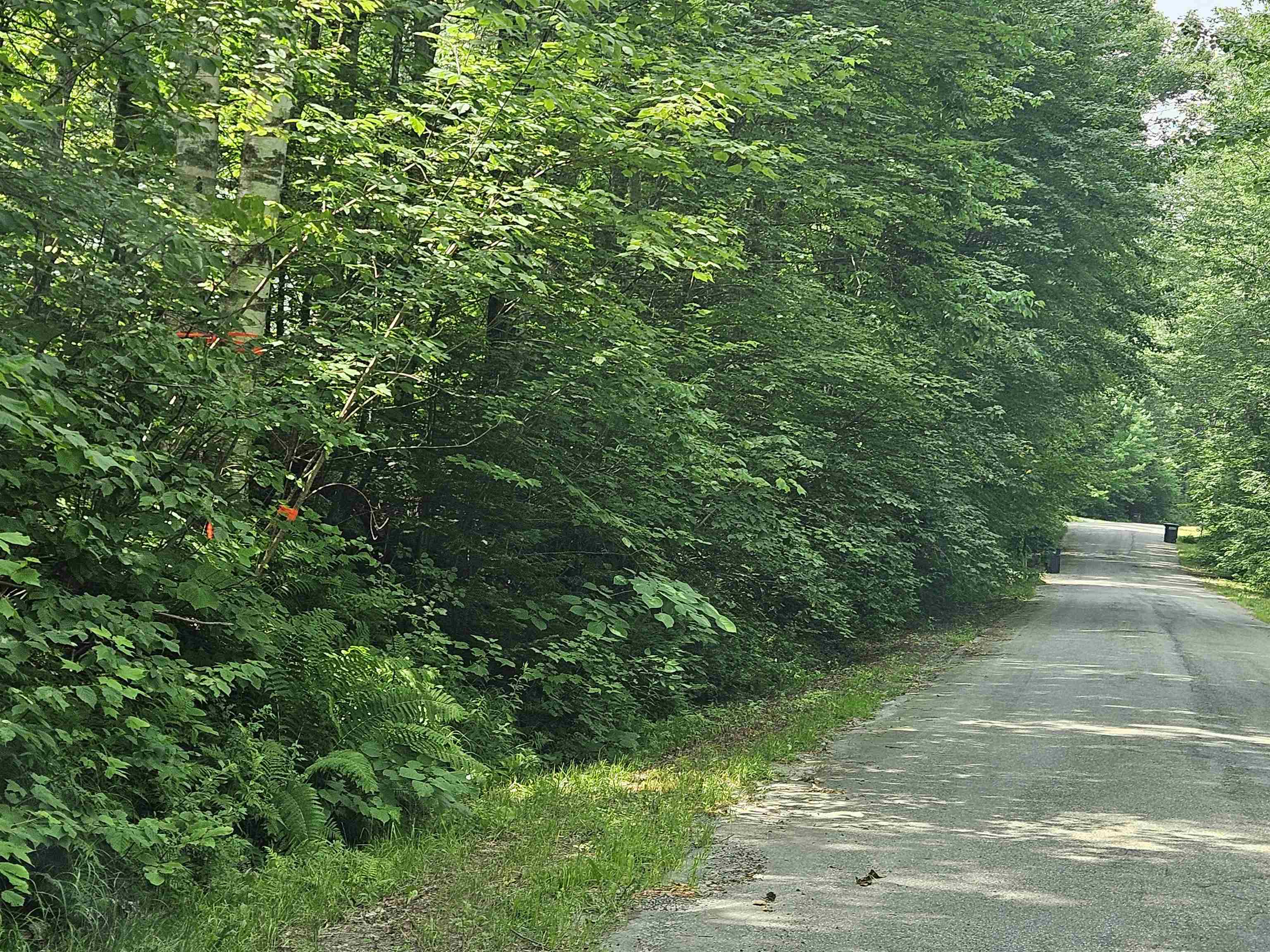 Property Photo: Lot 6 Mount Cleveland Road NH 03574