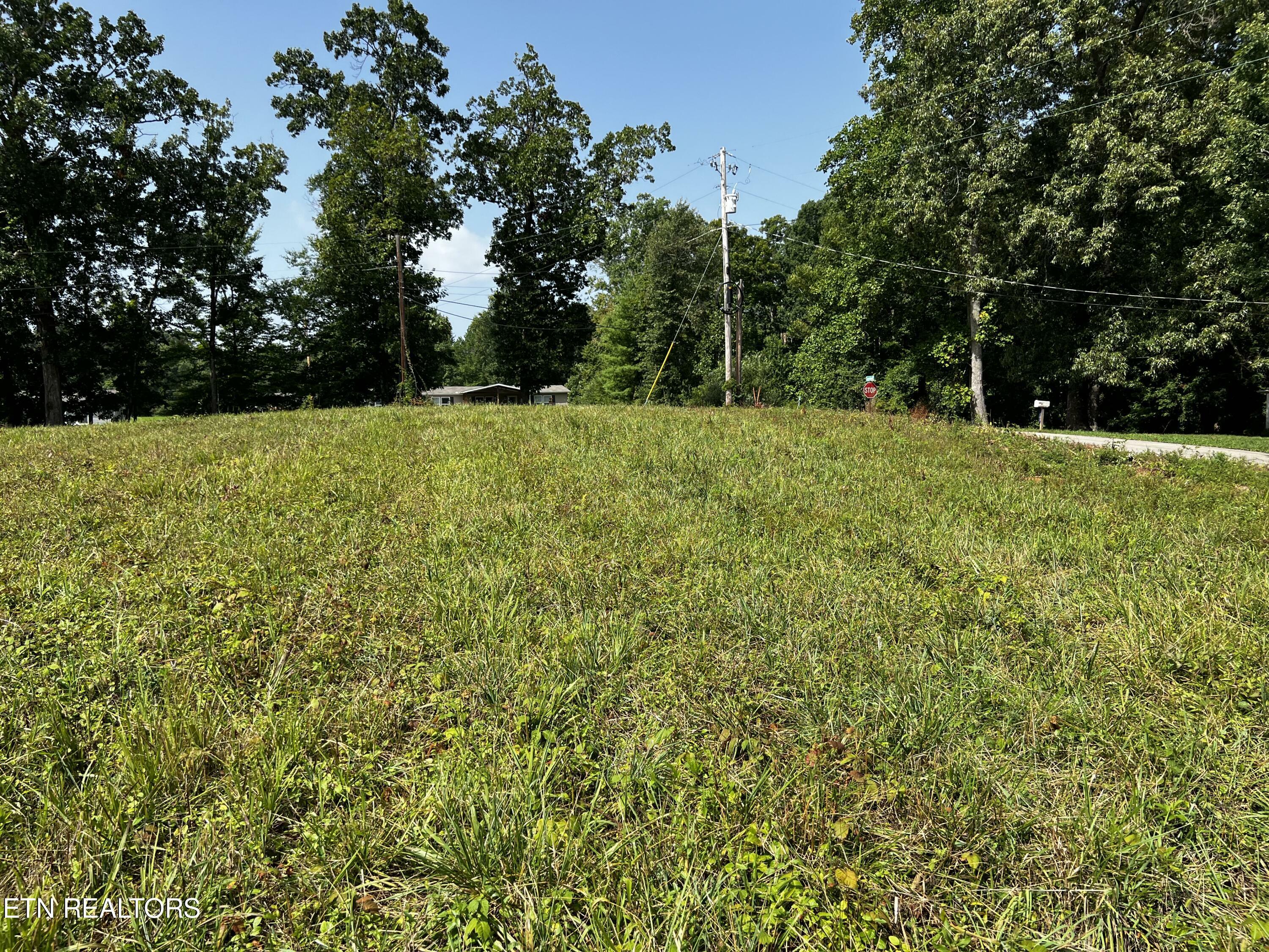 Property Photo:  196 Copenhaver Rd  TN 37771 