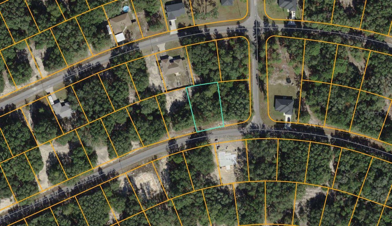 Property Photo:  Fisher Way Trail  FL 32179 