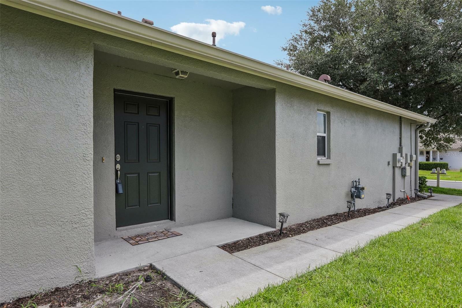 Property Photo:  1252 Bensbrooke Drive  FL 33543 