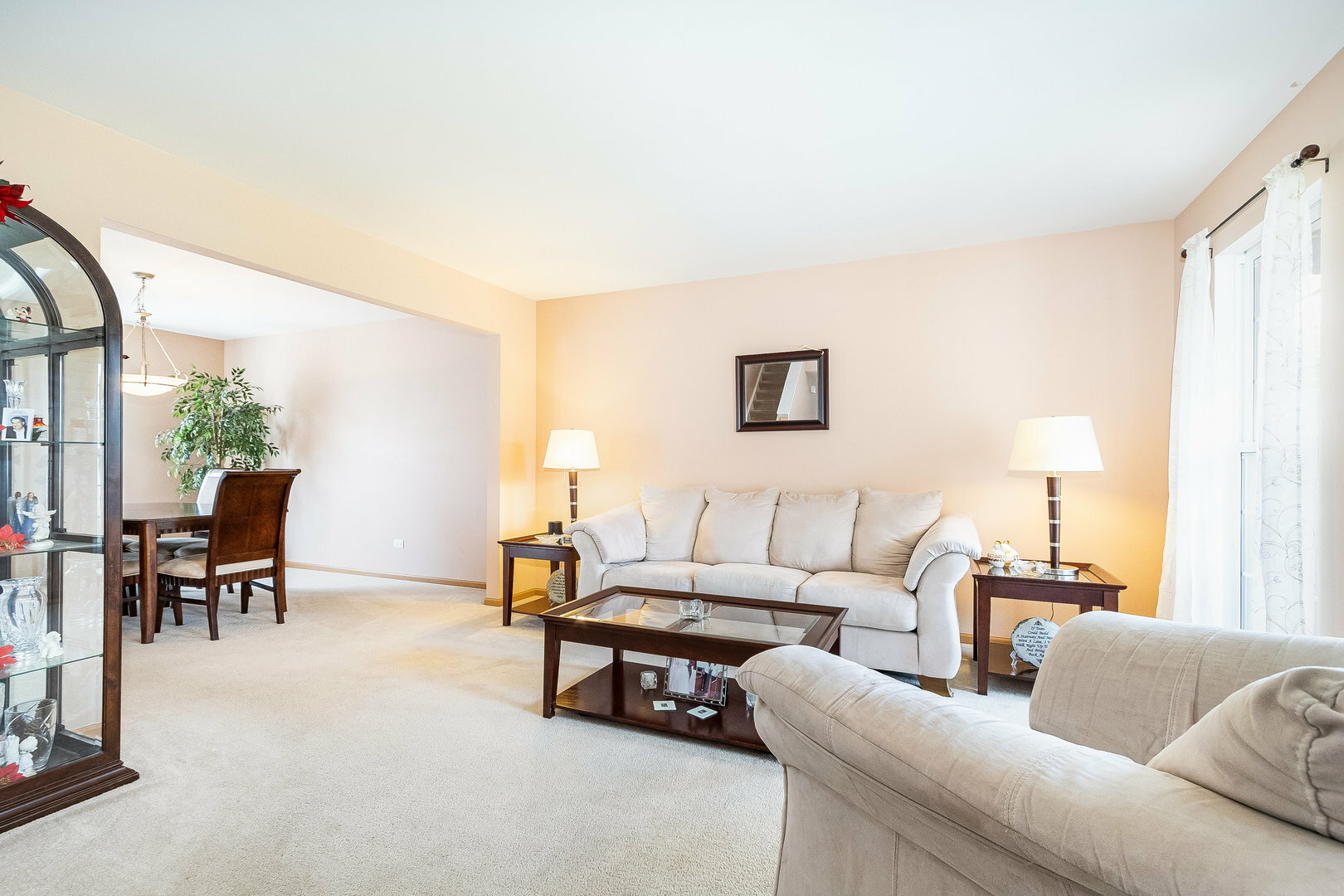 Property Photo:  1561 Bluestem Court  IL 60447 