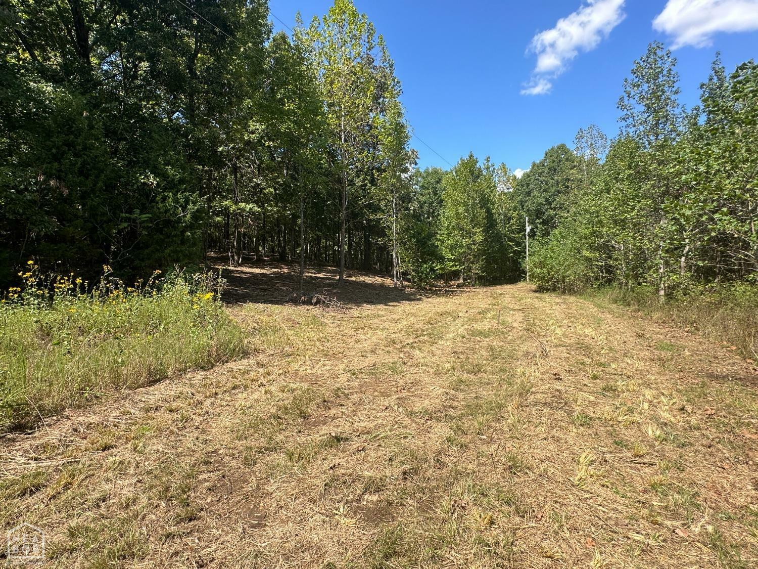 Property Photo:  159 County Road 389  AR 72416 