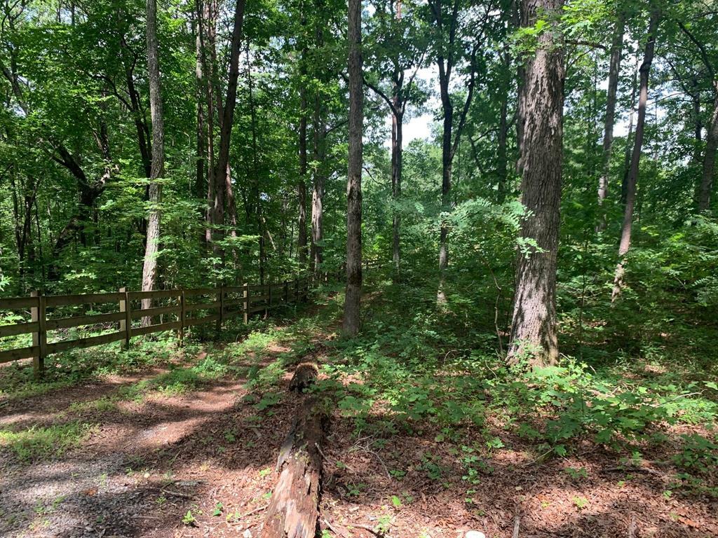 Lot 89 Broken Arrow Trail  Young Harris GA 30582 photo