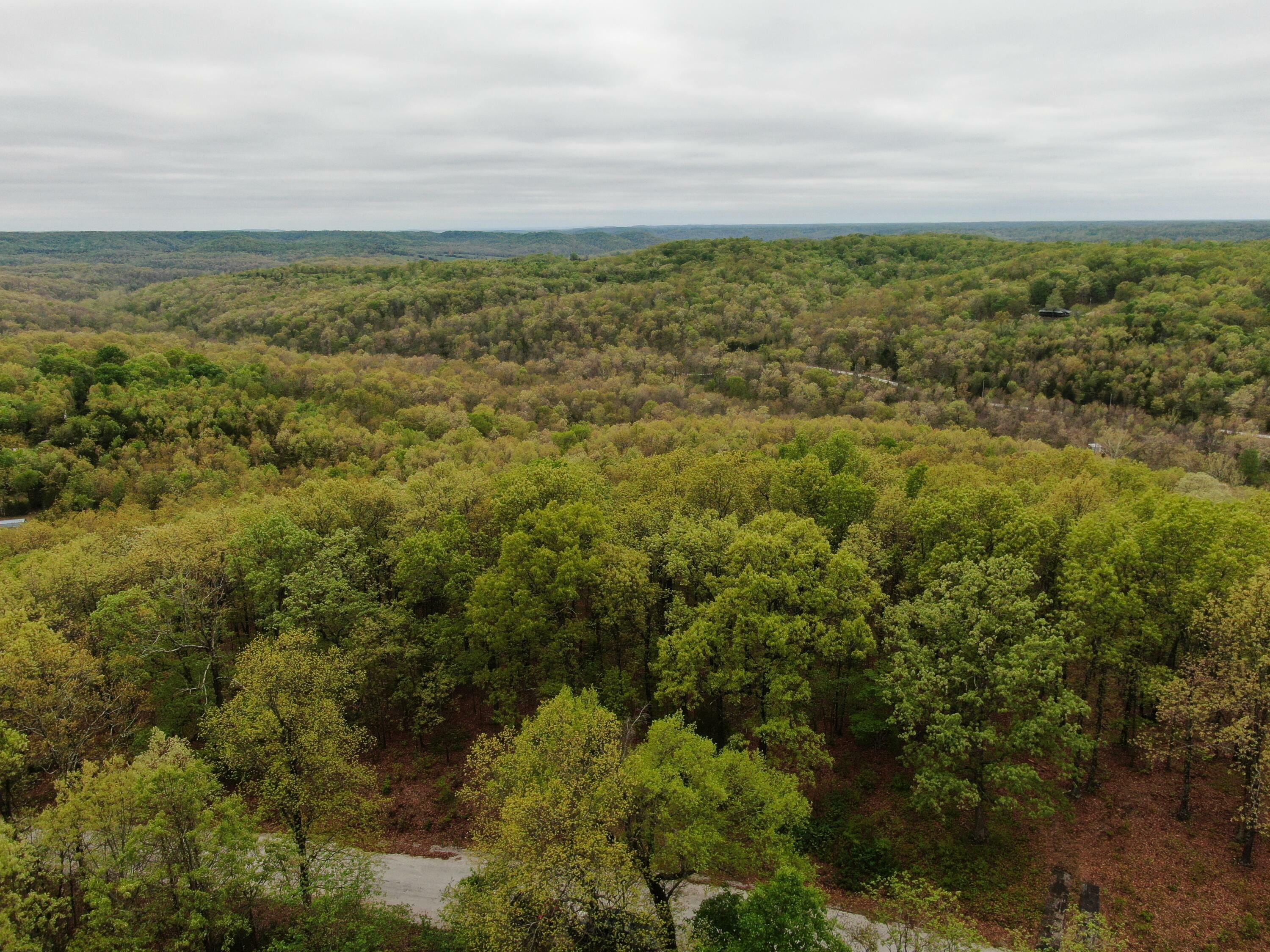 Property Photo: Lot 26-1 High View Circle MO 65620