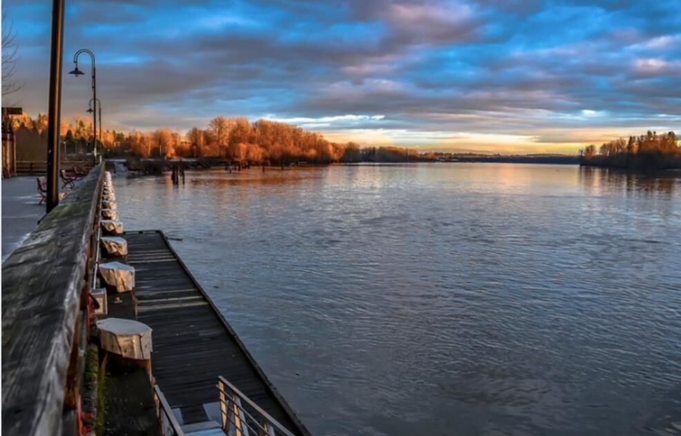 Property Photo: 11719 Brookmere Court BC V2X 9G3