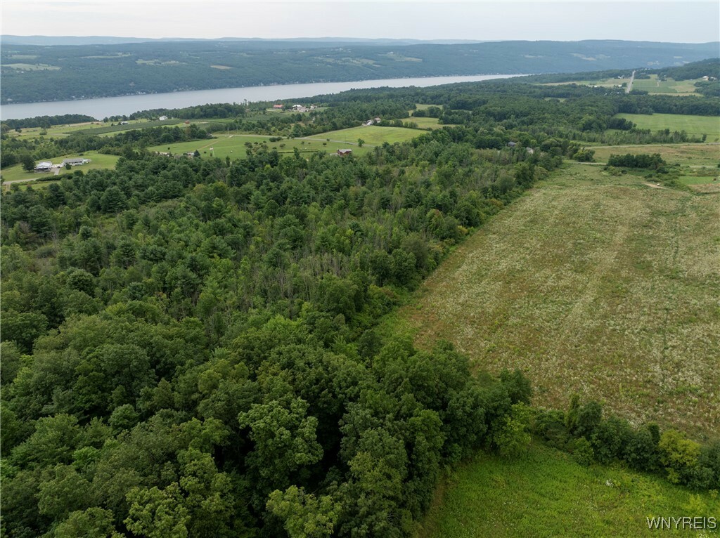 Property Photo:  9849 County Route 76  NY 14840 