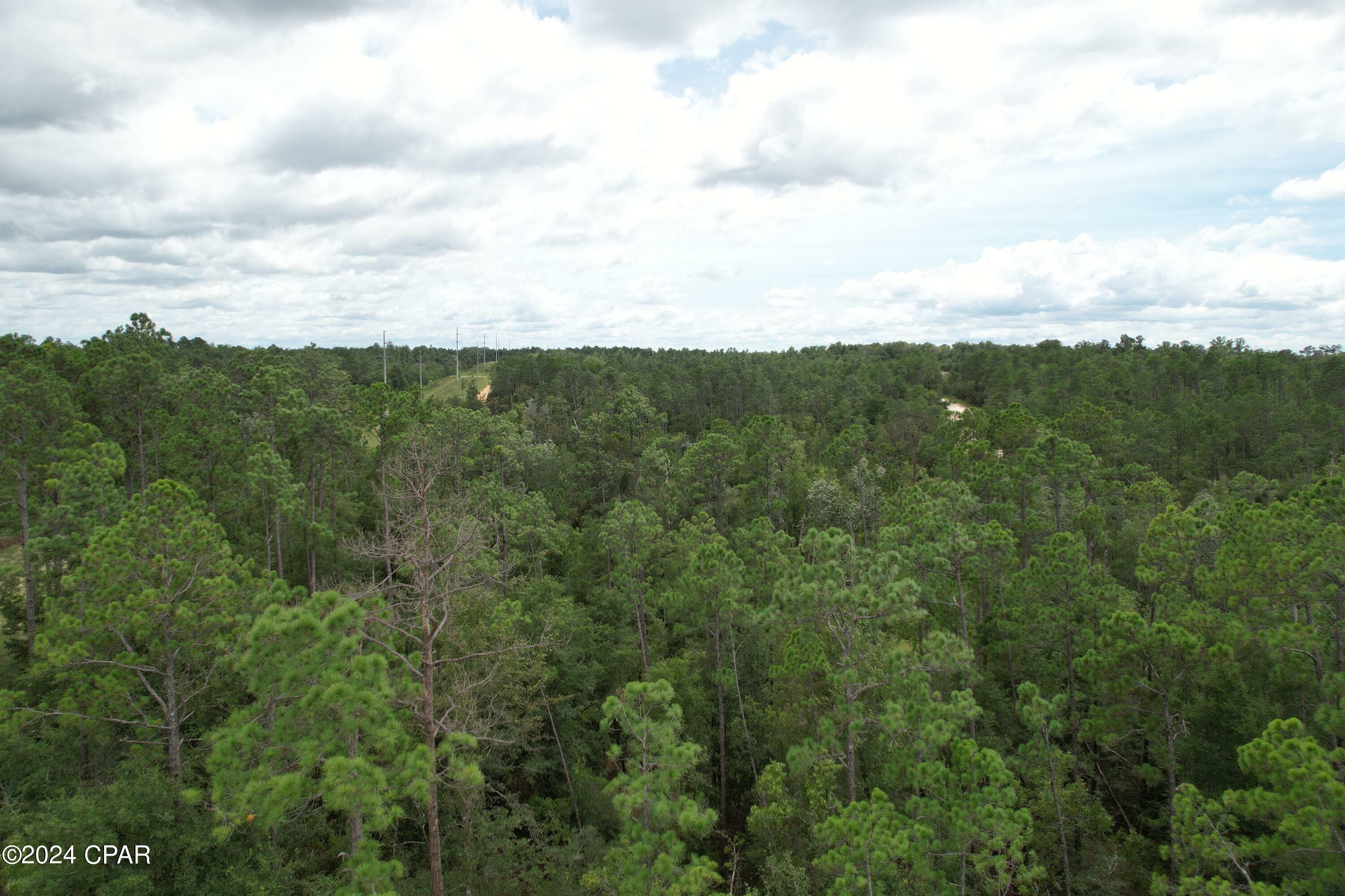 Property Photo:  00 Chequamegon Avenue  FL 32420 