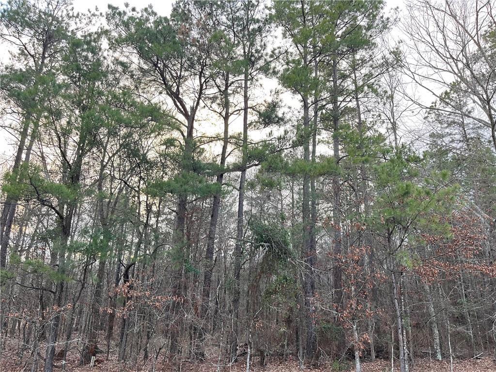 Property Photo:  0 Hwy 454 Highway  LA 71360 