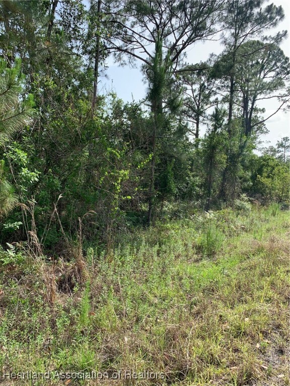 Property Photo: 10828 Bending Oak Drive FL 33875