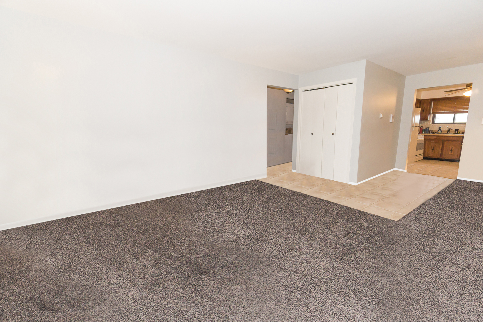 Property Photo:  922 W Irving Park Road 303  IL 60106 