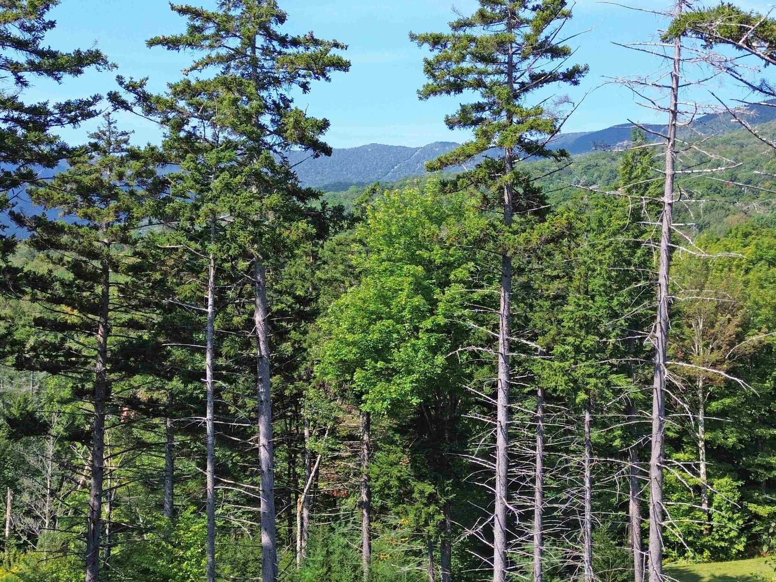 Property Photo:  00 Knolls Road  VT 05674 