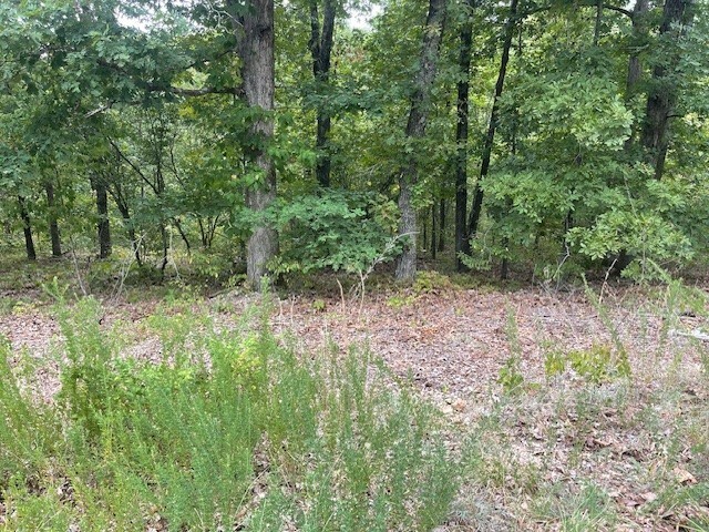 Property Photo:  Lot 17 Cawood Drive  AR 72714 