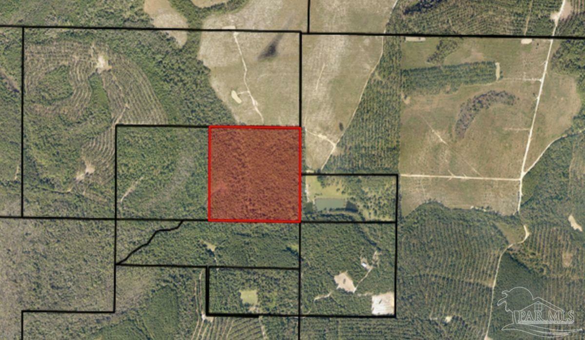 Property Photo:  00500 Wayne Bowman Rd  FL 32565 