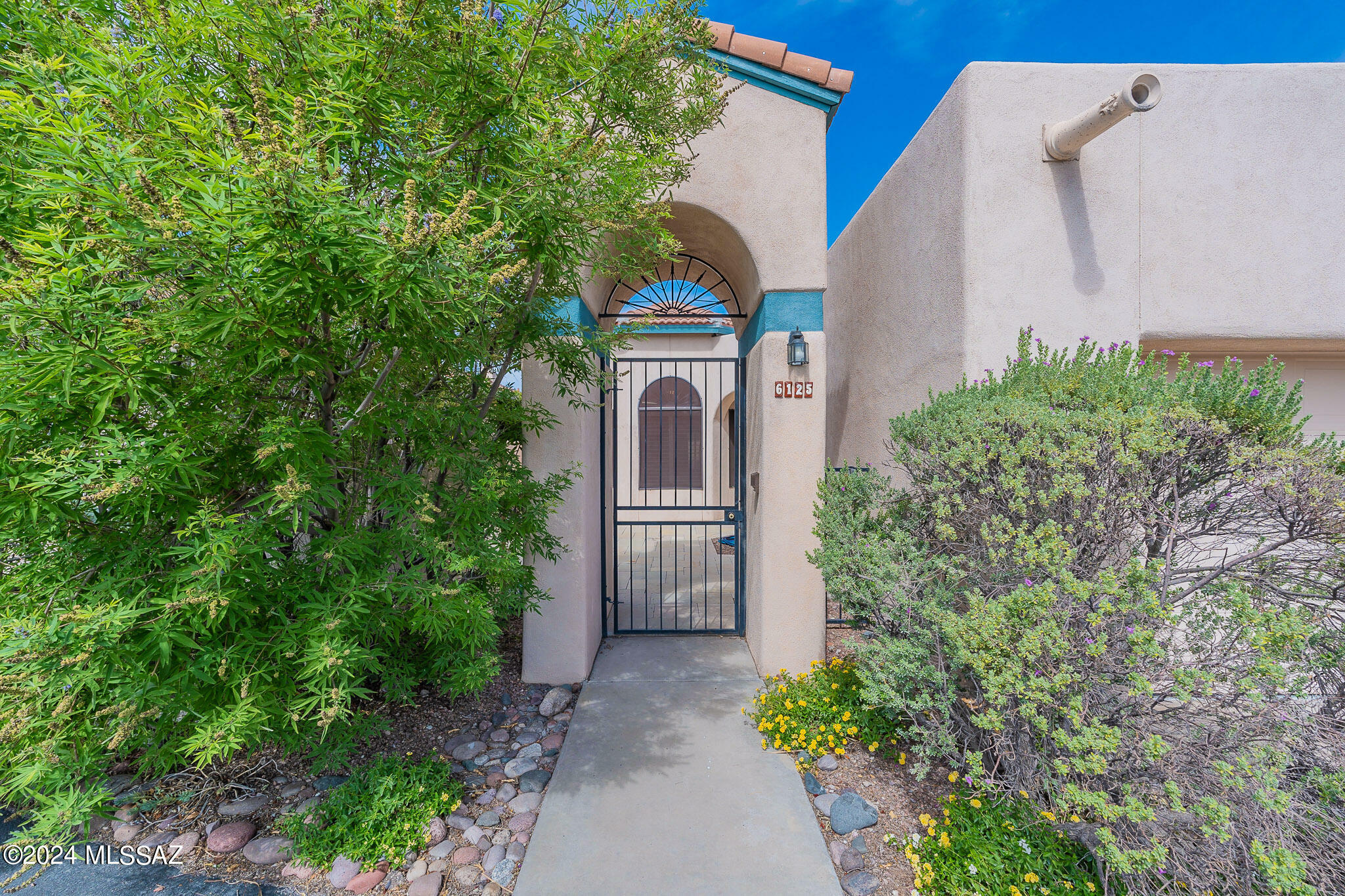 Property Photo:  6125 N Pascola Circle  AZ 85718 