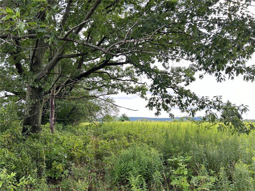 Property Photo: 8229 County Route 74 NY 14873