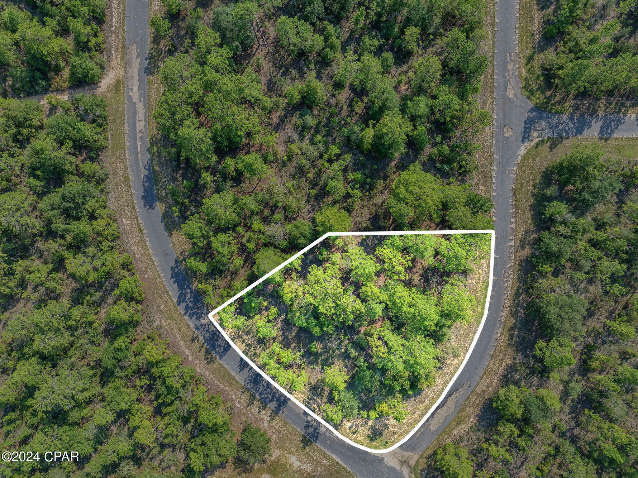 Property Photo:  Lot 9 Omega Street  FL 32428 