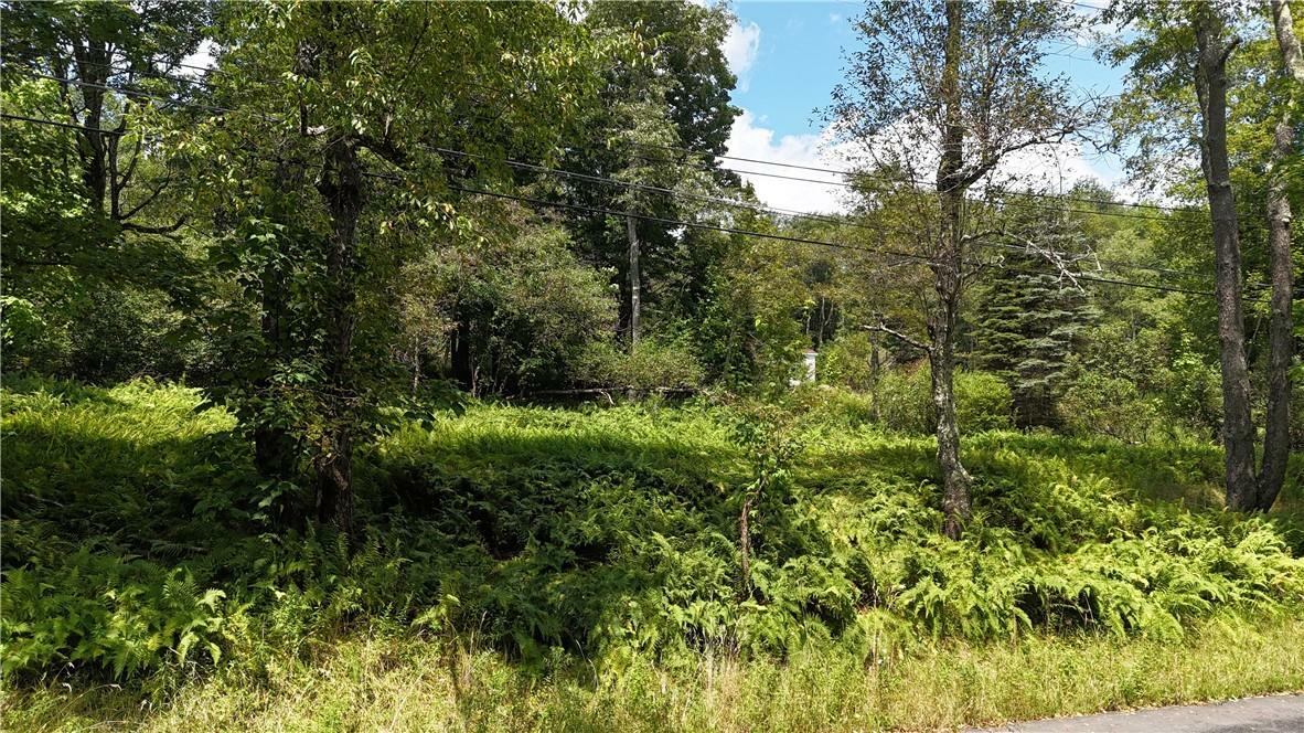 Property Photo: Revonah Hill Road NY 12754