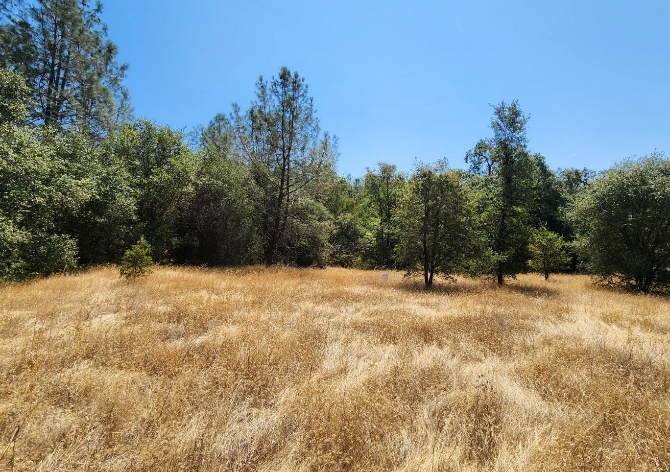 Property Photo:  10065 Melody Road  CA 95977 