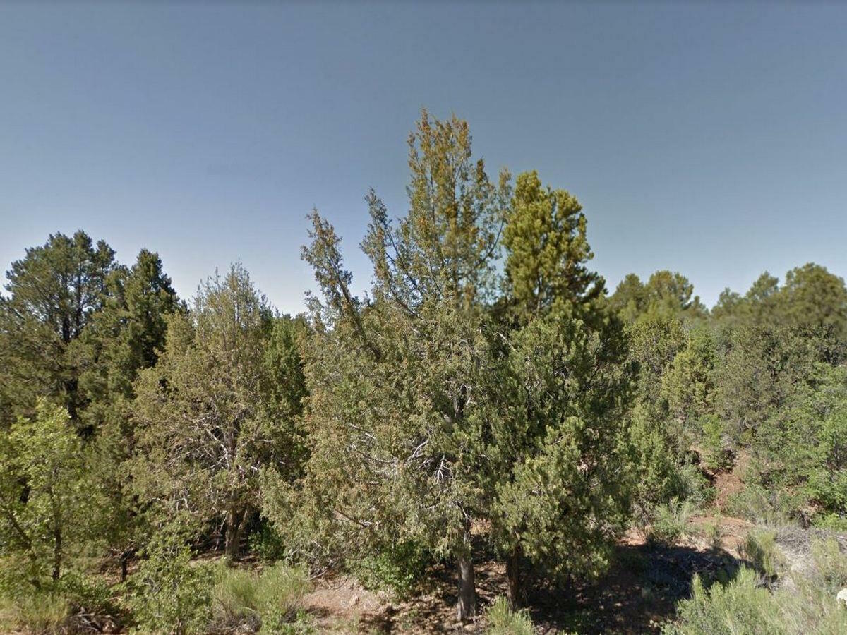 Property Photo:  Lot 5 Cougar Canyon Blk F  UT 84762 