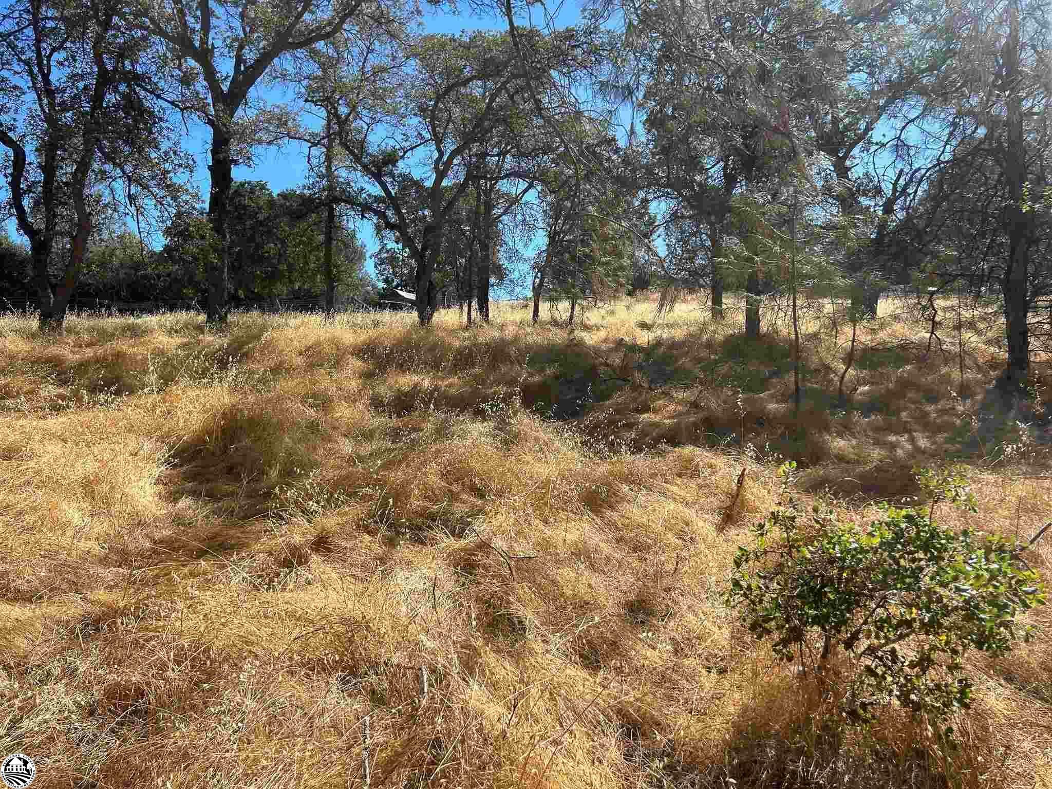 Property Photo:  3178 Granite Springs Road  CA 95311 