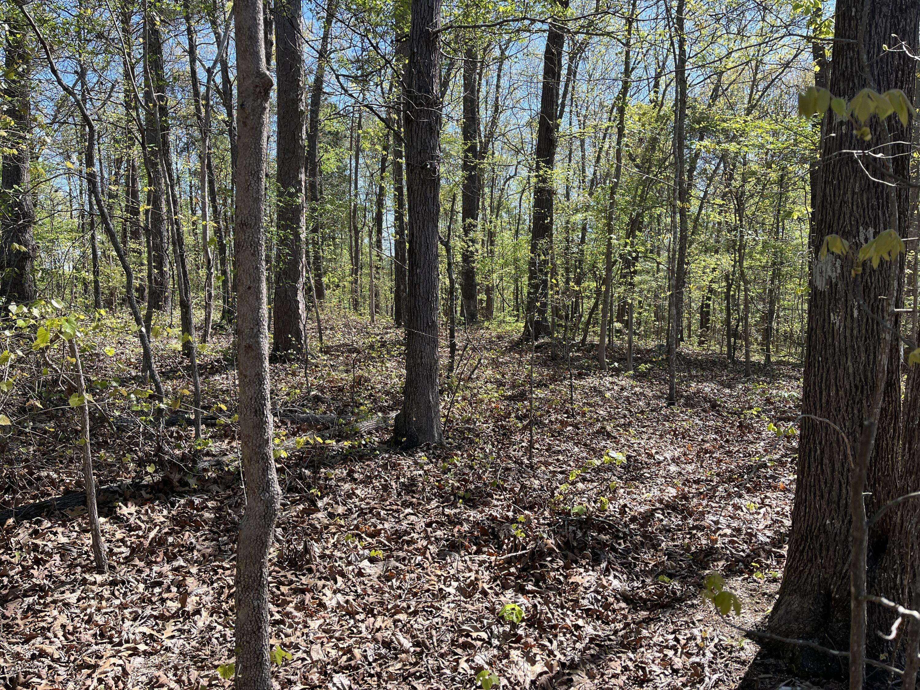 Property Photo:  35 Acres Lafayette Rd  GA 30740 