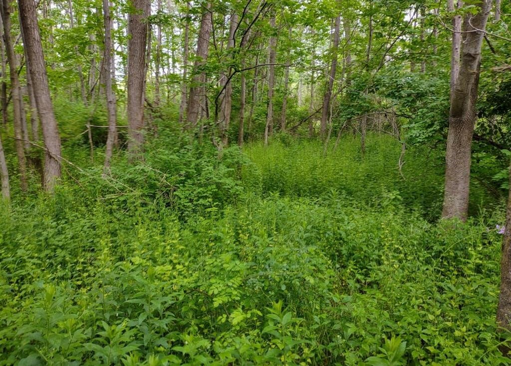 Property Photo:  5980 Turnpike Road  NY 14886 