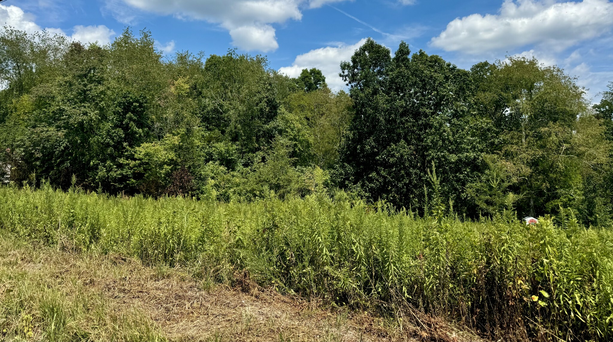 Property Photo:  0 Highway 230  TN 37098 