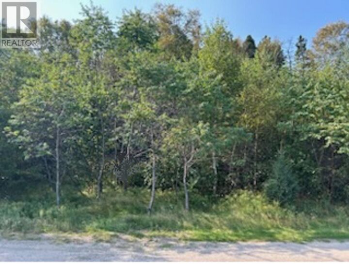 Property Photo:  142 Main Street  NL A0G 4K0 