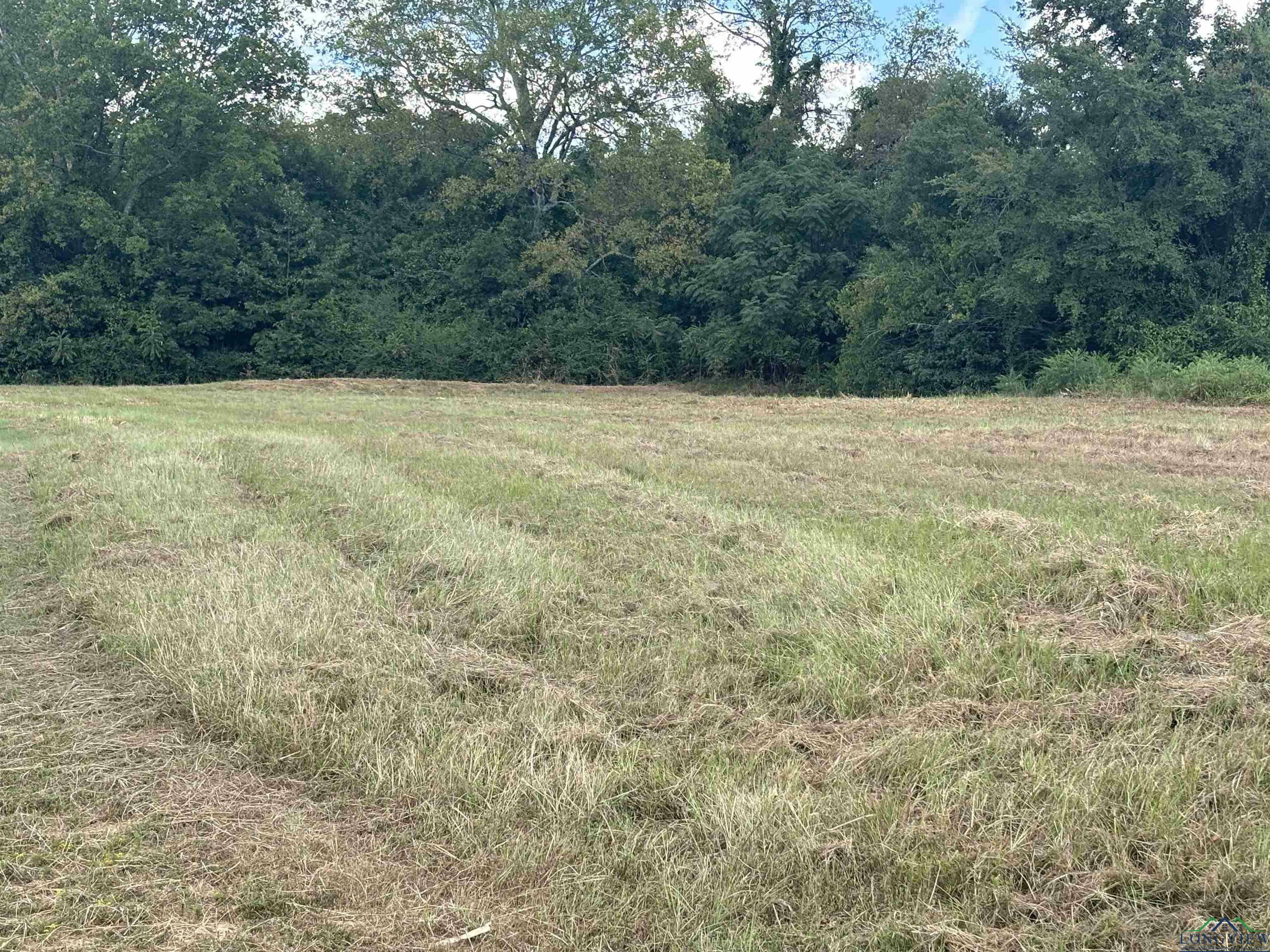 Property Photo:  Tbd W Loop 281 Lots 1,2,3 &Amp 12  TX 75064 