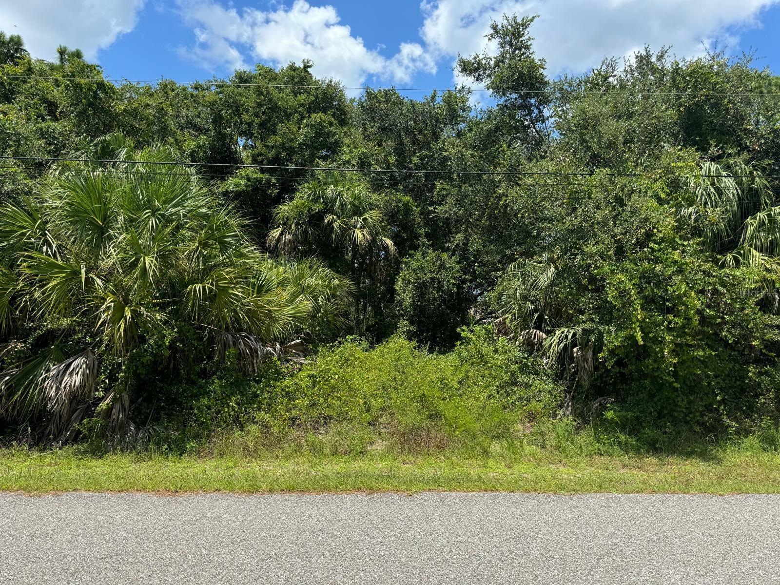 Property Photo:  Wentworth Street  FL 34288 