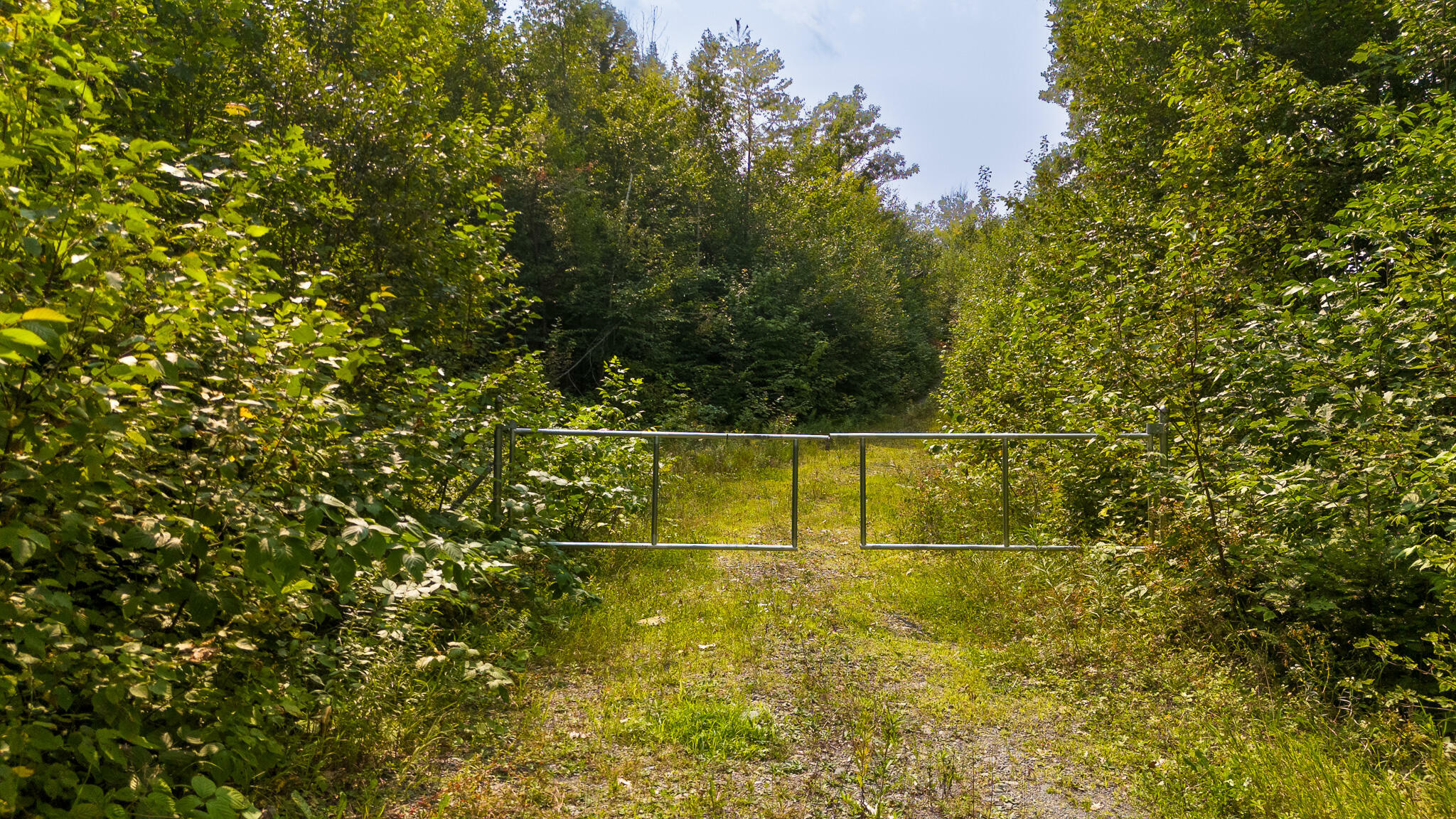 Property Photo:  Lot8 Bear Brook Subdivision  ME 04481 