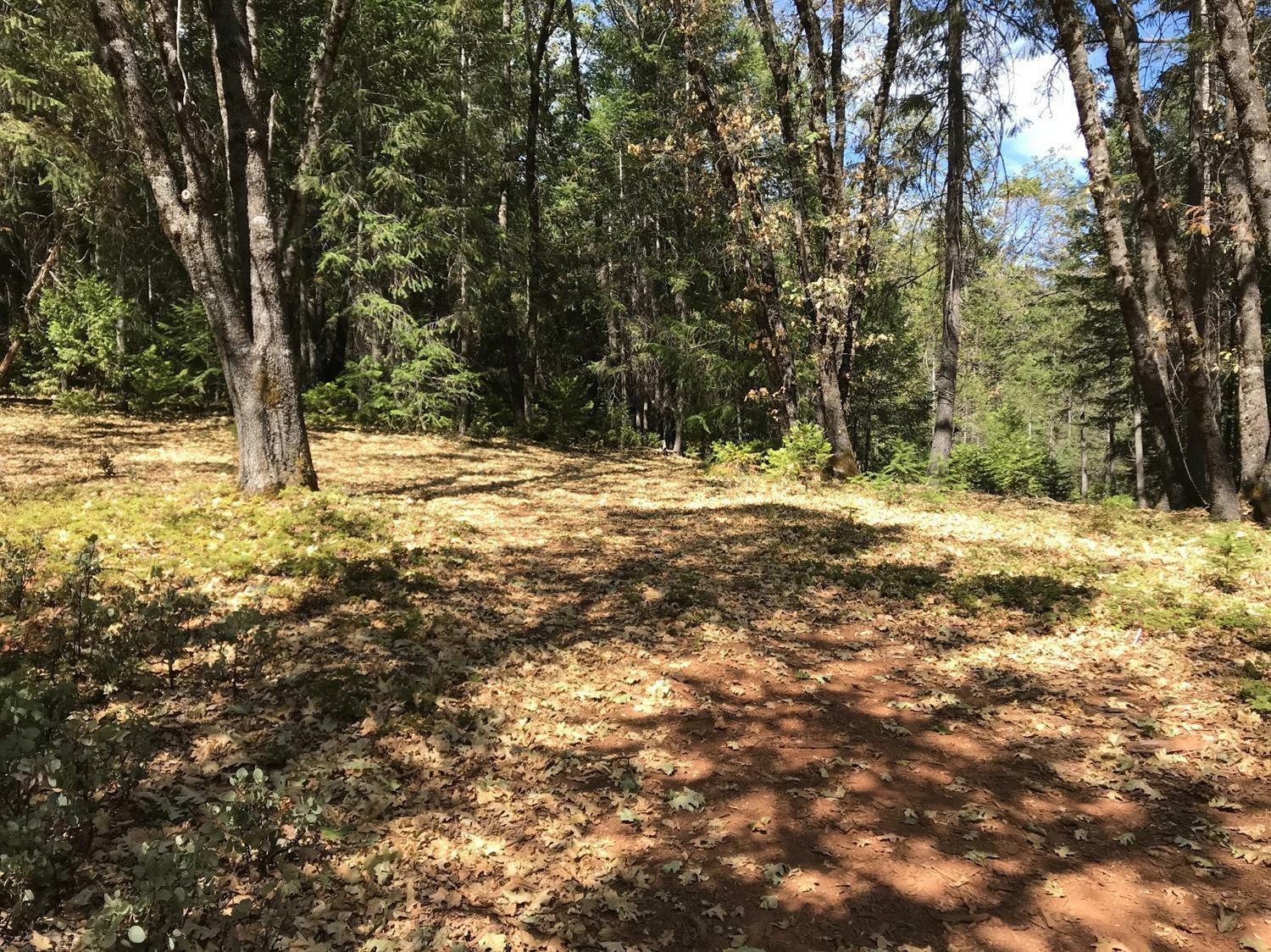 Property Photo:  13992 Rattlesnake Ridge Drive  CA 95945 