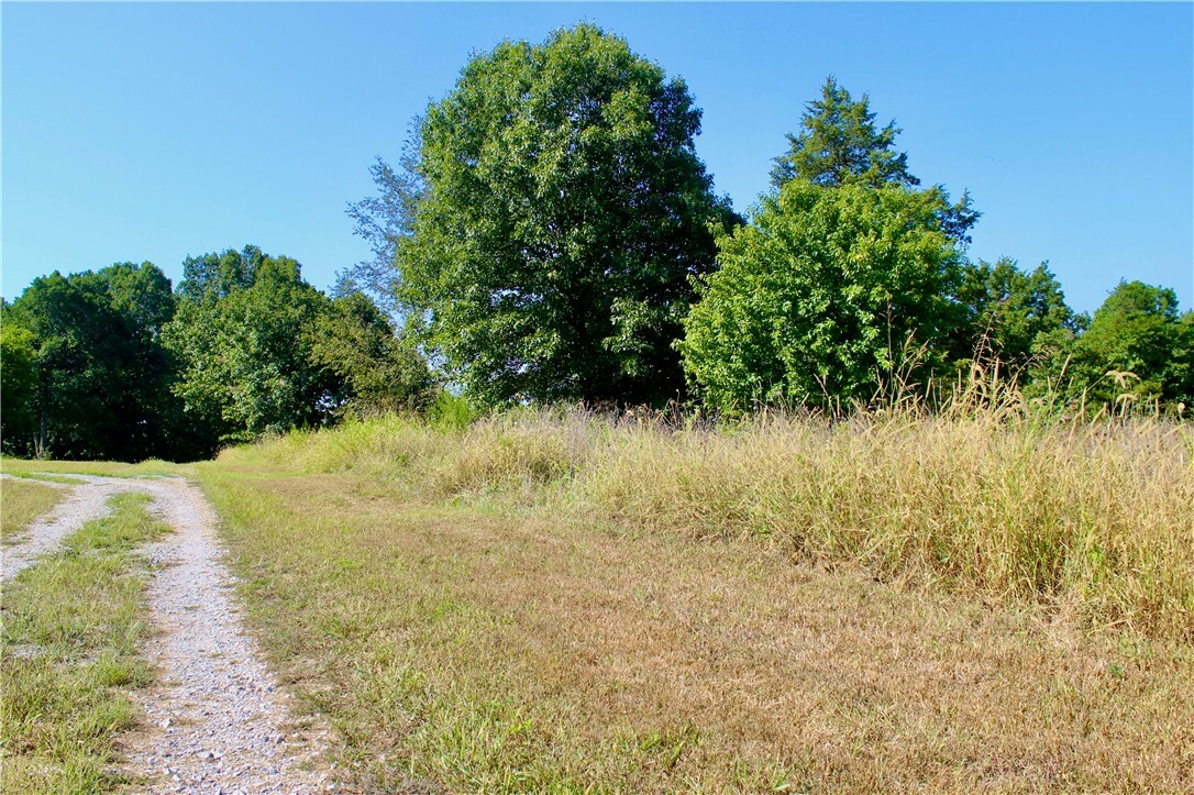 Property Photo:  County Road 4171  AR 72616 