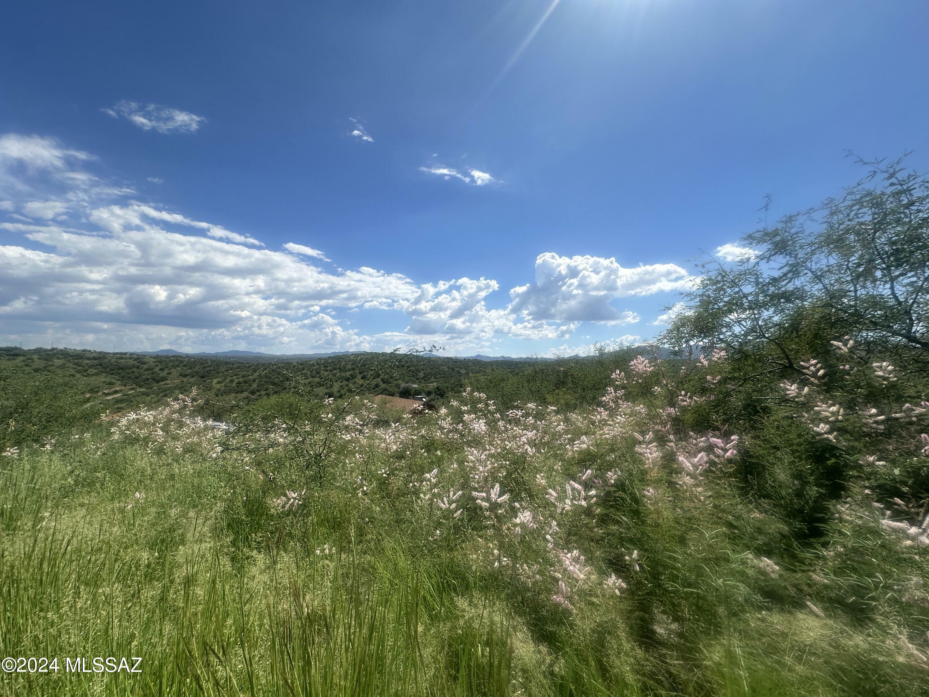 Property Photo:  1161 Corrida De Toros  AZ 85648 